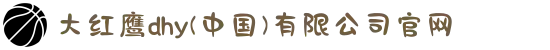 大红鹰dhy(中国)有限公司官网